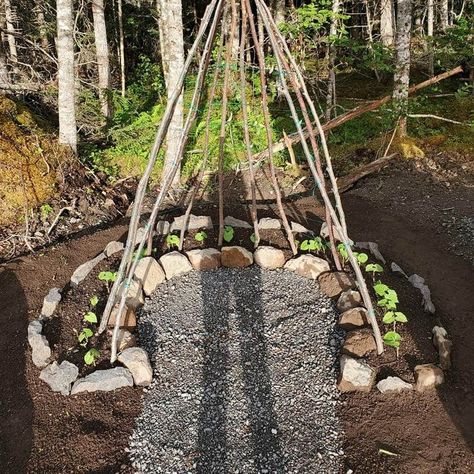 Preschool Garden, Play Garden, Sensory Garden, Veg Garden, Backyard Playground, School Garden, Garden Yard Ideas, Vegetable Garden Design, Landscaping Design