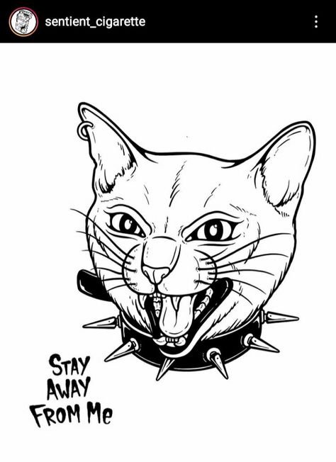 Angry Cat Tattoo, Collar Tattoo, Black Cat Tattoos, Cat Tattoos, Cat Embroidery, Doodle Ideas, Angry Cat, Cat Tattoo, Cat Drawing