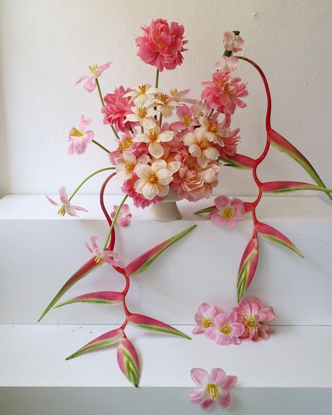 🦀🦞 | Instagram Boquette Flowers, Orchid Arrangements, Bouquet Arrangements, Flower Therapy, Tropical Flower, Pretty Plants, Exotic Flowers, Flower Bouquet Wedding, Beautiful Bouquet