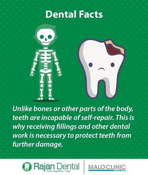 Fun Dental Facts, Dental Sayings, Dental Campaign, Dental Quotes, Dental Social Media, Dental Posts, Dental Posters, Dental Health Month, Kids Dentist