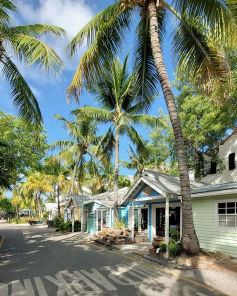 Florida Keys Aesthetic, Aesthetic Keys, Keys Aesthetic, Rainbow Colors Art, Florida Aesthetic, Preppy Kitchen, Summer Tanning, Summer Time Pictures, Vacation Mode