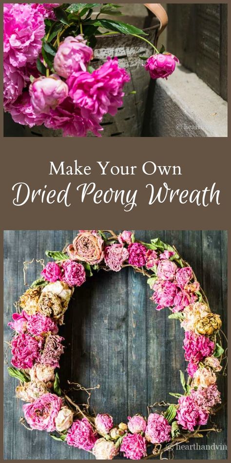 Learn how easy it is to dry peony flowers from your garden and make a beautiful wreath with little money and not a lot of time. Dried Peony, Dried Wreath, Peony Wreath, Make A Wreath, Peonies Wreath, Garden Crafts Diy, Peonies Garden, Gardening Diy, Work Diy