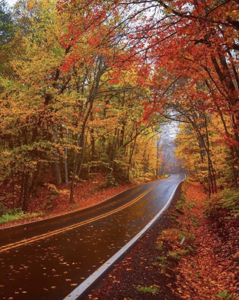 Michigan Forest, Mountain Drive, Pictures Of Beautiful Places, Keweenaw Peninsula, Autumn Rain, Autumn Park, Foggy Morning, Autumn Scenery, Scenic Routes