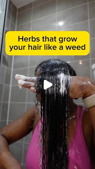 Herbs For Hair Growth Recipe, Hair Growth Tips For Black Women, Fenugreek For Hair Growth, Fenugreek For Hair, Prevent Dandruff, Hair Growth Methods, Fenugreek Benefits, Herbs For Hair Growth, Hair Recipes