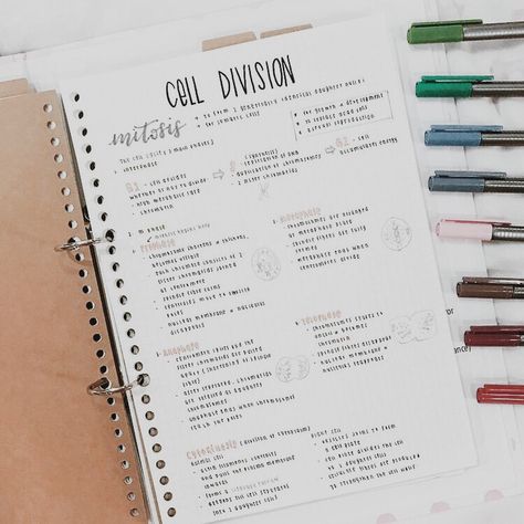 Cell Division Notes, Division Notes, Notes College, Notes Inspo, Paper Notes, College Notes, Aesthetic Notes, Bullet Journal Notes, Cell Division