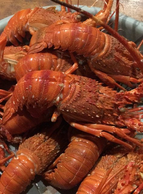 Lobster Aesthetic, Aesthetic Seafood, Portuguese Recipes, Sea Food, Food Obsession, Sea Animals, 18th Century, Healthy Food, Seafood