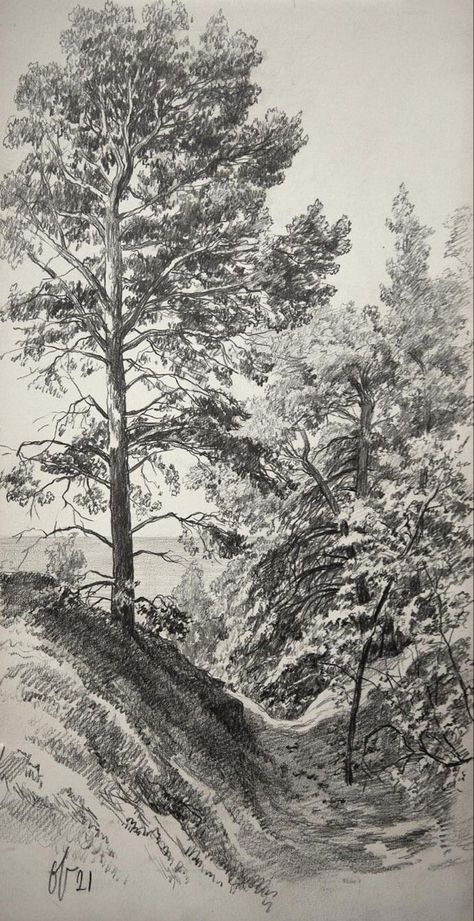 Black And White Colored Pencil Drawing, Black And White Landscape Drawing, Pencil Landscape Drawings, Tree Pencil Sketch, Pencil Sketches Landscape, Rock Drawing, How To Draw Realistic, Landscape Pencil Drawings, Tree Watercolor Painting