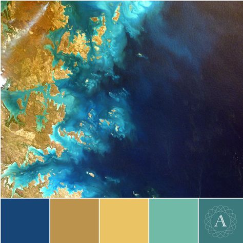 "Gold Coast" inspired color palette. Teal Color Palette, Gold Color Palettes, Gold Palette, Color Schemes Colour Palettes, Gold Color Scheme, Blue Green Gold, Green Colour Palette, Brand Color Palette, Blue Colour Palette