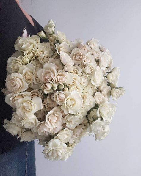 A little winter light casting onto this armload for your Wednesday evening. White Majolika Spray Roses, a wedding staple in the studio.… Snowflake Spray Rose, Winter Light, Spray Roses, White Roses, Wedding Flowers, Floral Wreath, A Wedding, Roses, Spray