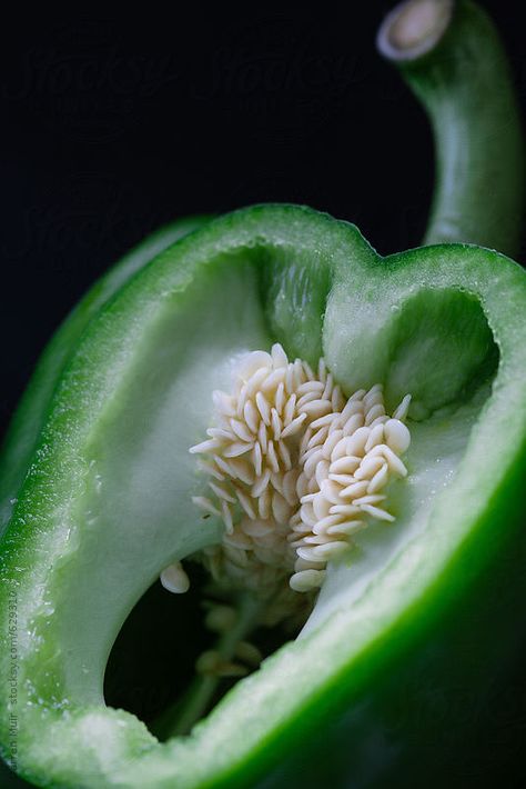 Bell Pepper Aesthetic, Bell Pepper Photography, Alkaline Vegetables, Peppers Painting, Canning Bell Peppers, Recipes With Banana Peppers, Painting Themes, Macro Food Photography, Macro Food