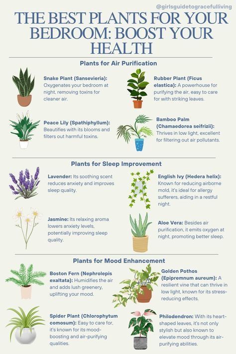 Household Plants, Plant Care Houseplant, Inside Plants, Growing Plants Indoors, Best Plants, Best Indoor Plants, Air Purifying Plants, Bedroom Plants, Bedroom Space