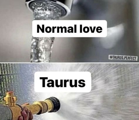 Taurus Journal, Taurus Things, Taurus Zodiac Quotes, Taurus Energy, Taurus Memes, Pick Up Line Jokes, Taurus Traits, Taurus Zodiac Facts, Taurus Quotes