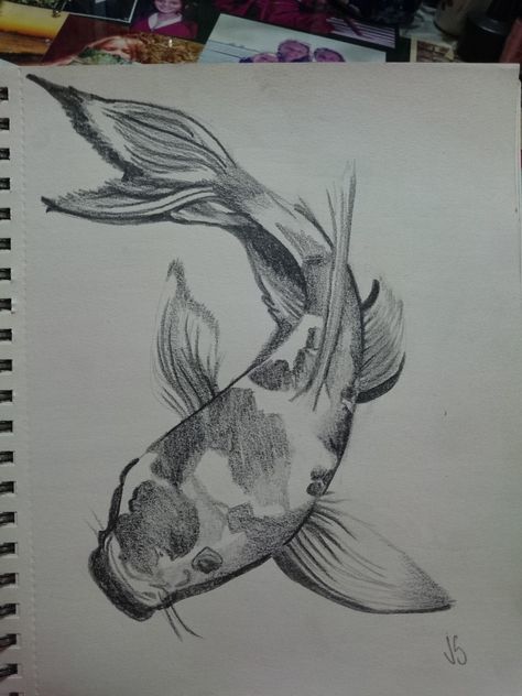 Koi Fish - Pencil and paper - Jennifer Storch Koi Fish Charcoal Drawing, Koi Fish Realistic Drawing, Koi Fish Pencil Drawing, Koi Fish Sketches, Fish Charcoal Drawing, Koi Fish Drawing Sketches, Fish Pencil Sketch, Fish Drawing Pencil, Koi Fish Drawings