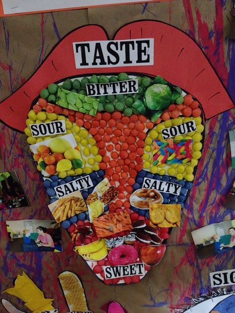 Sense Of Taste Craft, 5 Senses Decorations, Sense Organs Chart, Teaching Materials Science, Five Senses Preschool, 5 Senses Activities, Kids Bulletin Boards, Senses Preschool, Senses Activities