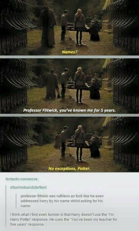 Professor Flitwick, Potter Head, Harry Potter Memes Hilarious, Harry Potter Feels, Yer A Wizard Harry, Images Harry Potter, Harry Potter Headcannons, Harry Pottah, Harry Potter Jokes