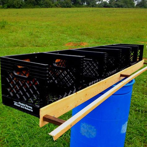 Chicken Nesting Box Ideas, Nesting Box Ideas, Nesting Boxes For Chickens, Raising Turkeys, Chicken Brooder, Owner Builder, Chicken Nesting Boxes, Chicken Pen, Chicken Tractors