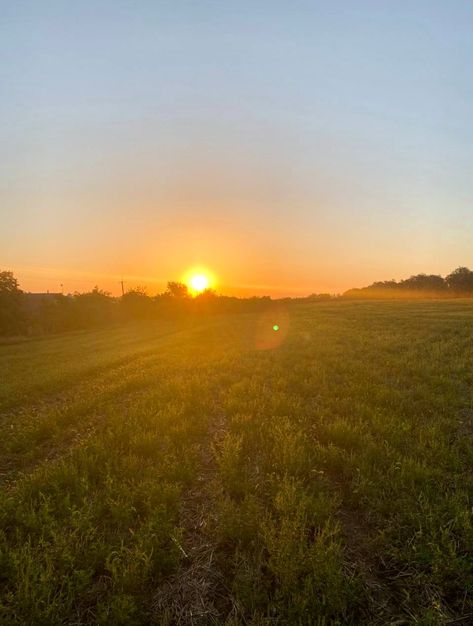 Sunset Garden Aesthetic, Sunsets In Fields, Sunset Feild Pic, Cornfield Aesthetic, Open Field Aesthetic, Sunrise Field, Aesthetic Field, Symmetry Photography, Field Aesthetic