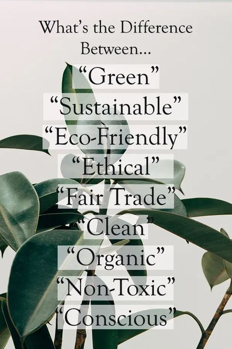 What's the Difference Between All of the "Green" Terms? Eco Design Product, Sustainability Illustration, Eco Project, Clear Things, Environmentally Friendly Living, Eco Friendly Building, Ethical Living, Better Lifestyle, Eco Life