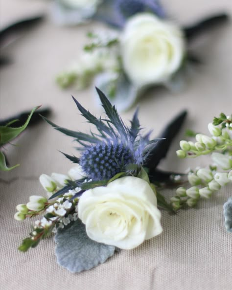 White and blue. #weddingfloristmelbourne #weddingflowers White And Blue Boutonniere Wedding, White And Blue Boutonniere, White And Blue Buttonhole, White And Green Buttonholes, White Ranunculus Blue Delphinium Boutonniere, Blue Thistle Buttonhole, Rose Buttonhole, Blue Boutonniere, Bridesmaid Bouquet White