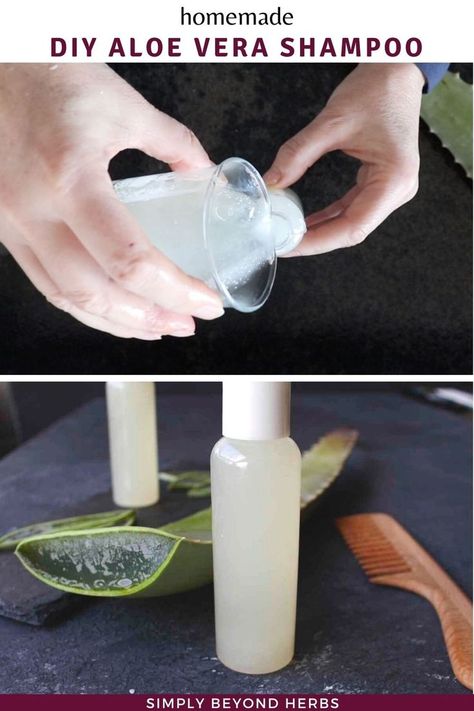 aloe vera shampoo How To Make Shampoo, Diy Shampoo Recipe, Shampoo For Hair Growth, Aloe Vera Shampoo, Baking Soda For Hair, Aloe Vera Benefits, Baking Soda Benefits, Shampoo Recipe, Homemade Shampoo