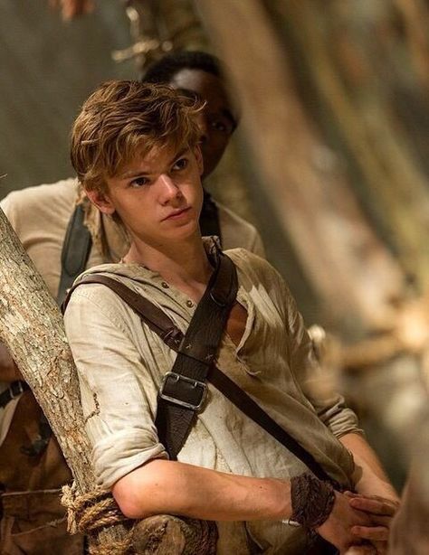 Thomas Brodie Sangster Imagines, Maze Runer, Maze Runner Thomas, Maze Runner Funny, Maze Runner Cast, Newt Maze Runner, Maze Runner Movie, Maze Runner Series, Dylan Thomas