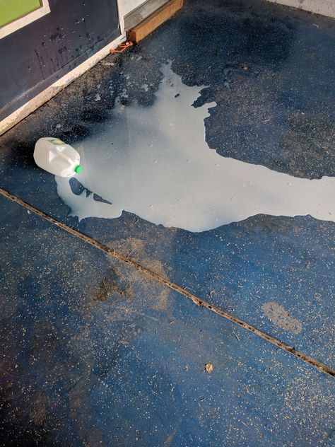 Spilled milk is Mexico White Oleander, Milk Art, Spilled Milk, Spilled Coffee, Oil Spill, Just Girly Things, Grocery Store, Glass Of Milk, Pinterest Likes