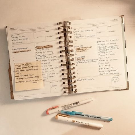 Organized Planner Aesthetic, Planner Organization Aesthetic, Day Designer Planner Ideas, Planner Organization College, Day Designer Planner, Wfh Office, Simplified Planner, Ring Planners, Daily Routine Planner