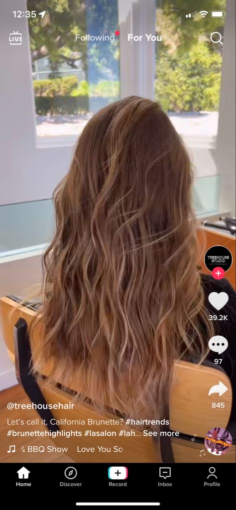 California Blonde, Light Brunette Hair, California Hair, Brown Hair Inspo, Brunette Hair With Highlights, Dyed Blonde Hair, Brown Hair Balayage, Hair Icon, Queen Hair