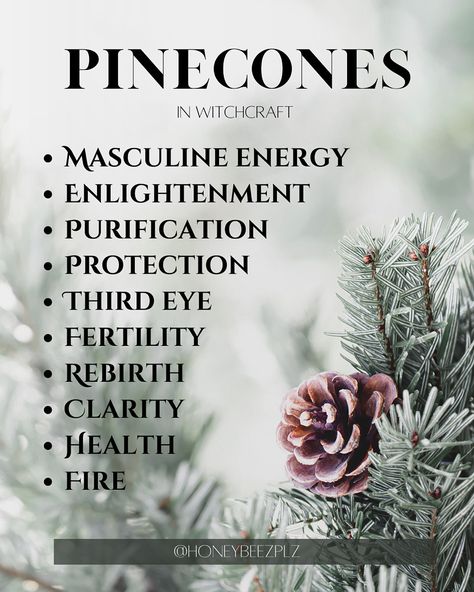 Pinecones are a wonderful gift from nature this time of year. Keep near your bed to help conceive a child or to bring in health and protection (ahh the importance of programming 😜) hahaha! I have a pinecone behind my front door for spiritual protection! Add to wreaths on your door for protection too! #pinecones #witchcraft Pinecones Witchcraft, Witch Tips, Learning Tarot Cards, Witchy Crafts, Masculine Energy, Tarot Learning, Spiritual Protection, Spells Witchcraft, Green Witch