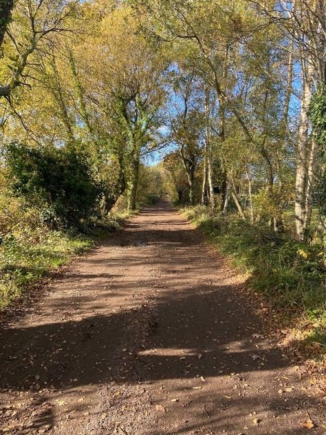 Woodland Walk Aesthetic, Woodland Walk, Wheelchair Friendly, Forest Trail, Country Park, Walking Routes, River Bank, Story Setting, Famous Places