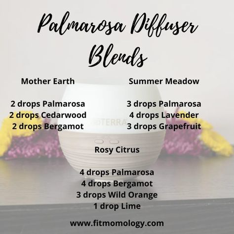 On Guard Essential Oil, Magick Oil, Palmarosa Essential Oil, Essential Oil Combinations, Essential Oil Diffuser Blends Recipes, Essential Oil Diffuser Recipes, Oil Diffuser Recipes, Essential Oil Blends Recipes, Essential Oil Diffuser Blends