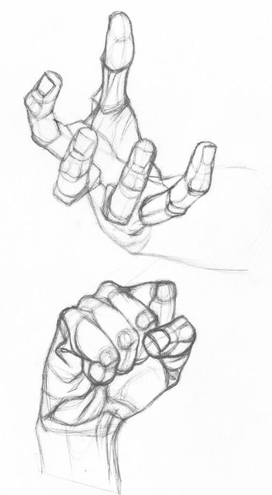 Hand Drawing Reference, Human Anatomy Art, Hand Reference, Hands Holding, Figure Sketching, 캐릭터 드로잉, Hand Sketch, Figure Drawing Reference, Hand Art Drawing