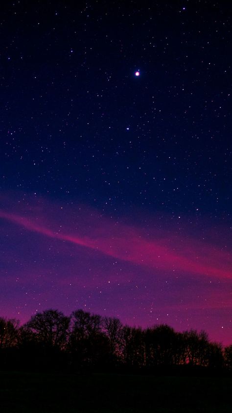 Blue pink sky, starry night, nature, 720x1280 wallpaper Purple, Trees, Pink, Stars, Night Sky Aesthetic, The Night Sky, Sky Aesthetic, Night Sky, Blue