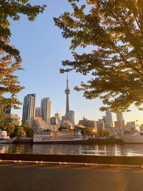 Toronto Sunset Aesthetic, Live In Canada Aesthetic, Living In Toronto Canada, Toronto Canada Photography, Canada Aethstetic, Toronto Astethic, Summer Canada Aesthetic, Canada Ontario Aesthetic, Canada Core Aesthetic