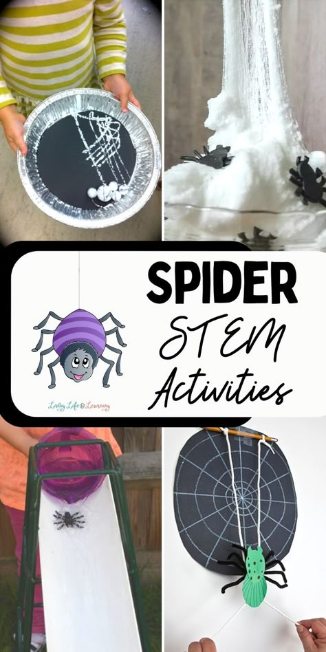 Engage the kids' curiosity and creativity through hands-on experiments, engineering challenges, and spider investigations. These educational Spider STEM Activities will spark a love for science while expanding their knowledge of these fascinating spiders. Get ready for a web of learning and fun during your homeschool Halloween or arachnids lesson! Spider Stem Activities, Spider Activities Kindergarten, Spider Unit Study, Spider Lessons, Homeschool Halloween, Spiders Preschool, Halloween Science Activities, Halloween Stem Activities, Engineering Challenges