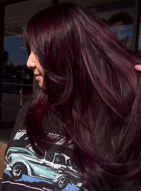 Dark Purple Maroon Hair, Deep Violet Raspberry Balayage, Hair Color For Winter Palette, Dark Plum Purple Hair, Berry Purple Hair, Deep Plum Hair Color, Eggplant Hair Color, Dark Red Purple Hair, Aubergine Hair Color