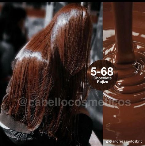 Pelo Chocolate Claro, Chocolate Pelo, Cabello Color Chocolate Claro, Chocolate Hair Dye, 8.3 Loreal, 9.12 Loreal, Pelo Chocolate, Igora 7.77 Ox 30, Hair Styels