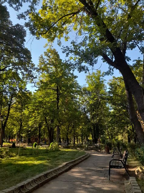 #park #trees #aesthetic Sunset Park Aesthetic, Park Aesthetic Sunset, Park Astethic, Aesthetic Park, Trees Aesthetic, Park Aesthetic, Summer Vision, Bakery Design Interior, Sunday Reset