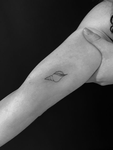 Shell Tattoo Minimalist, Fine Line Shell Tattoo, Tattoo Seashell, Conch Shell Tattoo, Shell Tattoo, Bali Tattoo, Seashell Tattoos, Shell Tattoos, Matching Tattoo