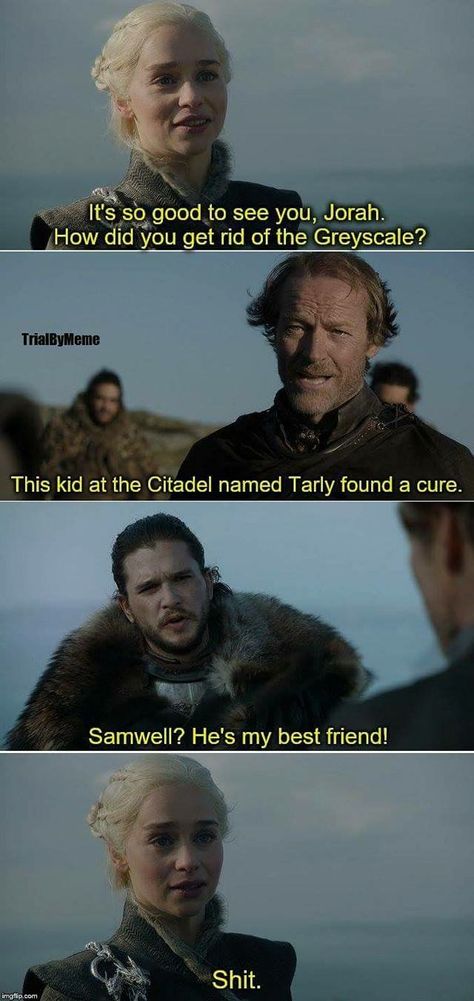 I wish he had shared that😂😂 Game Of Thrones Jokes, Game Of Thrones Facts, Game Of Thrones 3, World Of Ice And Fire, Game Of Thrones Funny, Hbo Game Of Thrones, Got Memes, A Game Of Thrones, Gra O Tron