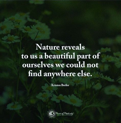 Love of nature quotes Magnetic Aesthetic, Green Nature Quotes, Whimsical Quotes, Love Nature Quotes, Nature Quotes Trees, Wood Quotes, Nature Quotes Beautiful, Citation Nature, Nature Quotes Inspirational