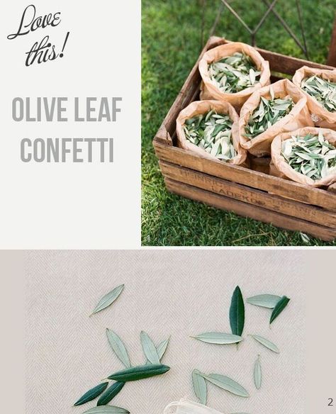 Are you planning a rustic wedding celebration? Perhaps you’re dreaming of a beautiful wedding in Italy? Then you may love the idea of using olive wedding confetti and olive leaves throughout your wedding day. We’ve got heaps of fab ideas… Image 1: Source – Photographer / Image 2: Source – Photographer Olive Wedding Confetti and […] Leaves Decoration, Leaf Confetti, Olive Wedding, Mediterranean Wedding, Confetti Wedding, Olive Leaves, Boda Mexicana, Wedding Planning Guide, Wedding Confetti