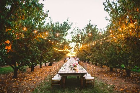 Cozy Fall Wedding, Apple Orchard Wedding, Peach Orchard, Cozy Wedding, Orchard Wedding, Wedding Inspiration Fall, Cozy Fall, Wedding Trends, Garden Wedding