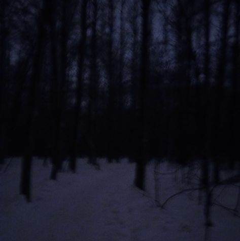 Dark Naturalism, Dark Forest Aesthetic, Snow Night, Snow Forest, Forest Background, Dark Grunge, Night Forest, Snowy Forest, Night Scenery