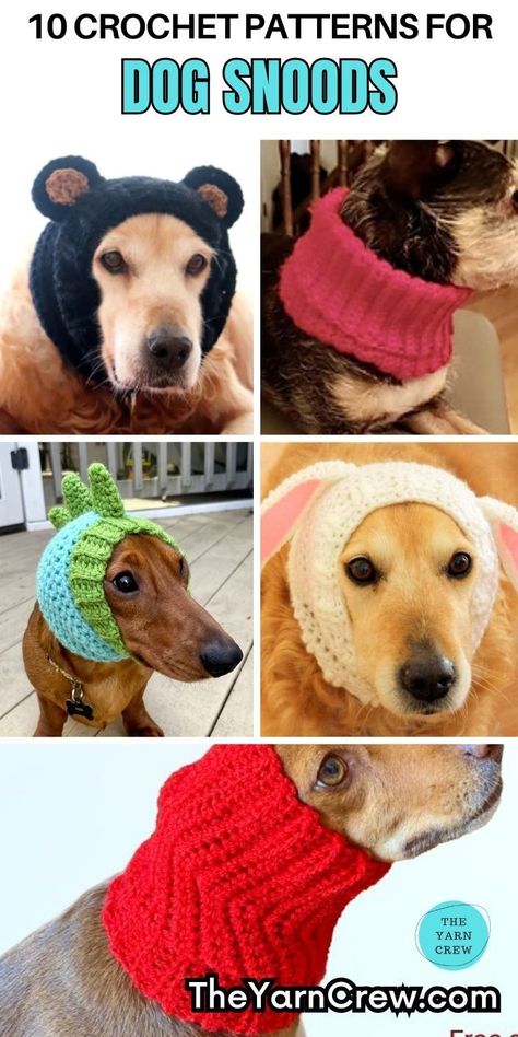 10 Crochet Patterns For Dog Snoods - The Yarn Crew Crochet Hat Dog Free Pattern, Crochet Patterns Dog Hat, Crocheted Dog Accessories, Crocheted Dog Hats Free Pattern, Dog Snoods Crochet Pattern, Free Crochet Dog Snood Patterns, Dog Crochet Hats Free Pattern, Snood For Dogs Free Pattern, Knitted Hats For Dogs Free Pattern