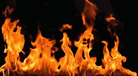 Fire GIF - Tenor GIF Keyboard - Bring Personality To Your Conversations | Say more with Tenor Fogo Gif, Fire Gif, Facebook Cover Photos Love, Fire Animation, Gold Design Background, Night Gif, Fire Image, Fire Video, Banner Gif