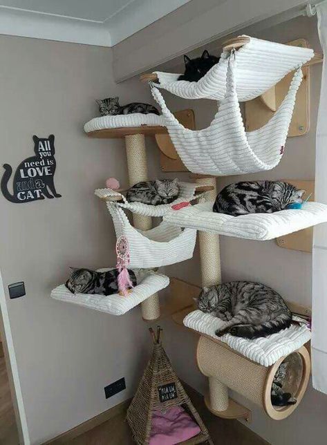 Katt Diy, Cat Room Decor, Katt Grejer, Chat Diy, Diy Cat Tree, Cat House Diy, Cat Towers, Cat Playground, Cat Hammock