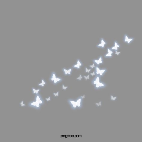 butterfly clipart,white,lighting effects,butterfly,beautiful,romantic,lighting,effects,light clipart,燈光效果,game effects,sparkle effect,light effects Light Butterfly Png Editing, Theme Dividers Instagram, Butterfly Overlay, Butterflies Png, Sparkle Butterfly, Flower Bouquet Png, Theme Divider, Butterfly Light, Light Png