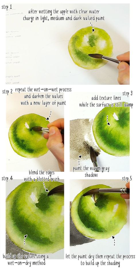 Watercolor Realism Tutorial, Watercolor Combinations Color Combos, Beginners Watercolor Step By Step, Realistic Watercolor Paintings Nature, Fruit Watercolor Painting Easy, Watercolor Shading Techniques, Realistic Watercolor Painting Techniques, Watercolor Paintings Fruit, Watercolor Art Step By Step