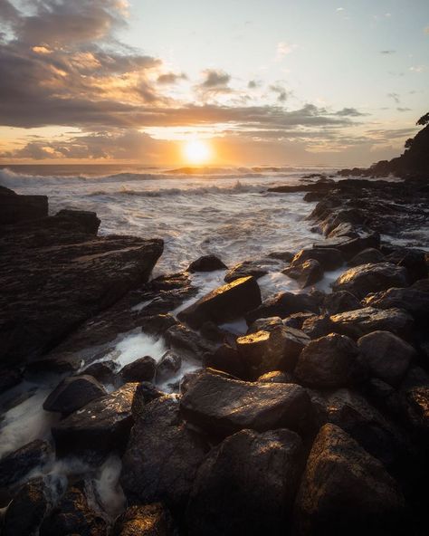 Benny Lamera on Instagram: “Landscape photography by the rocky beach of Snapper Rocks with @project.paulie Watching the sunrise paint it’s golden light over the rocks.” Rocks On Beach, Village Witch, Manga Reference, Watching The Sunrise, Sea Rocks, Rocky Landscape, Beautiful Australia, Rock Beach, Rocky Beach